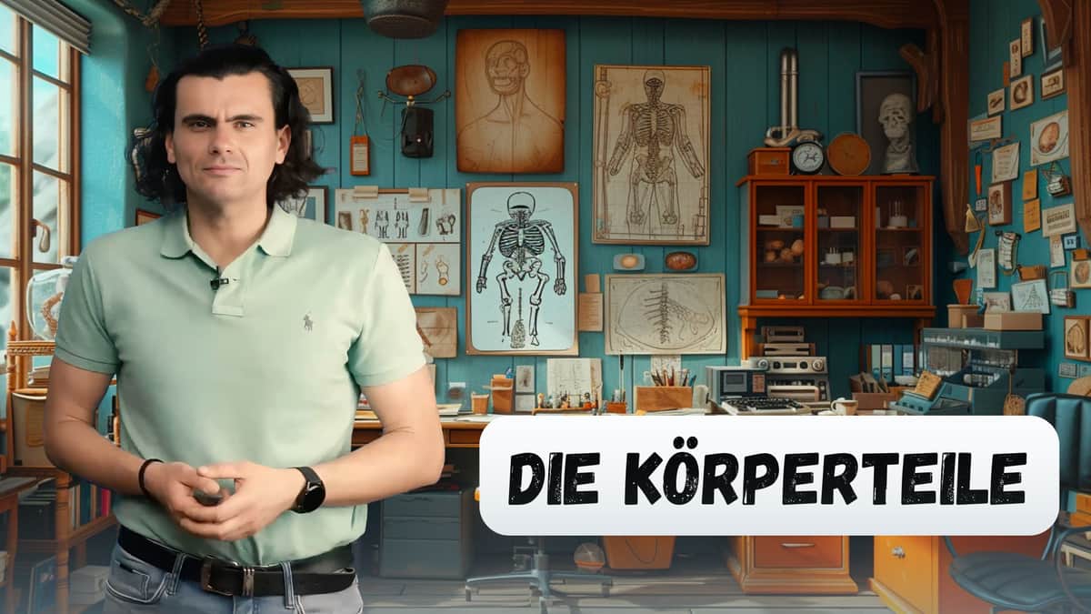 Body Parts | Die Körperteile